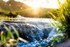 waterway