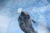 shutterstock_1218220324 (1)